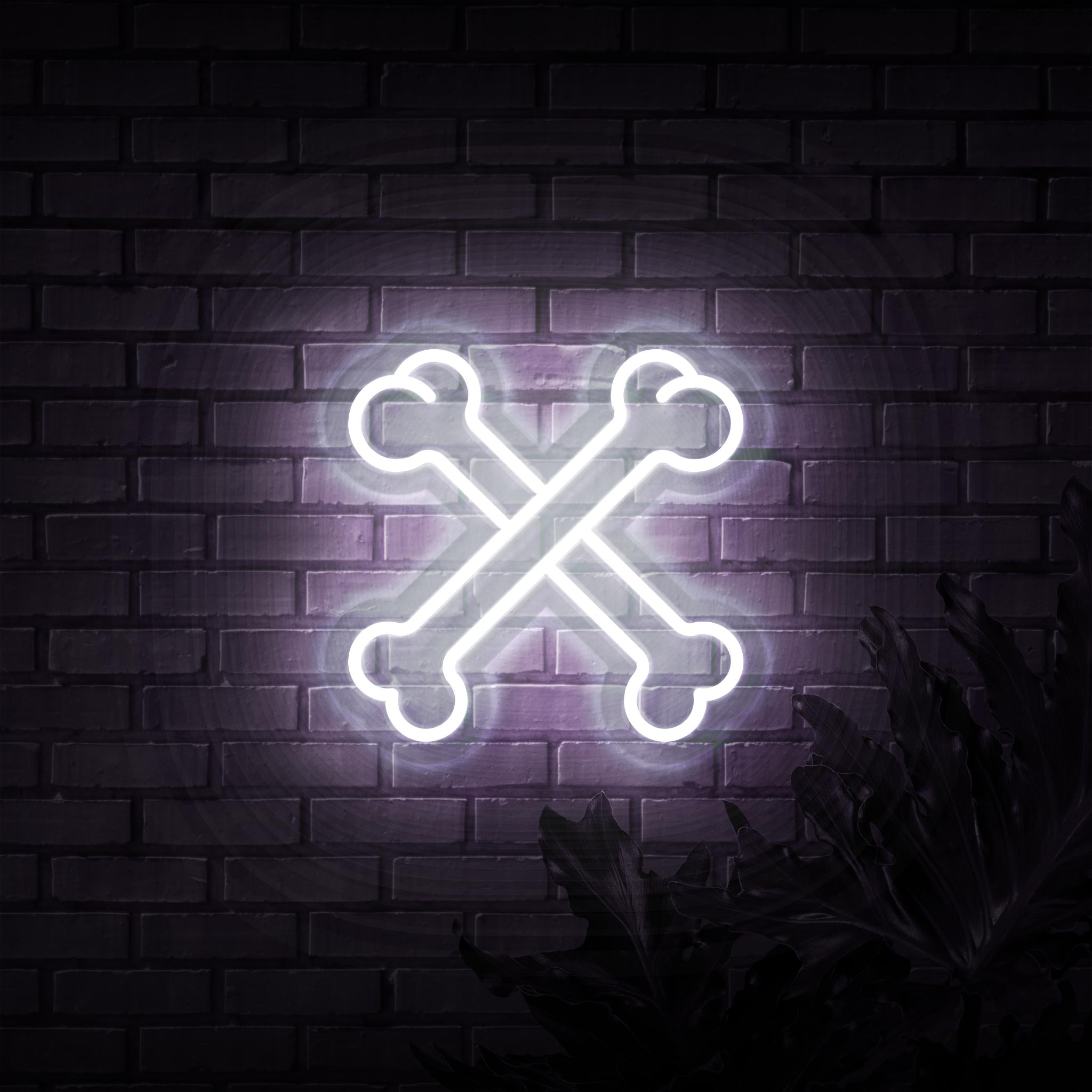 Crossbones Neon Sign