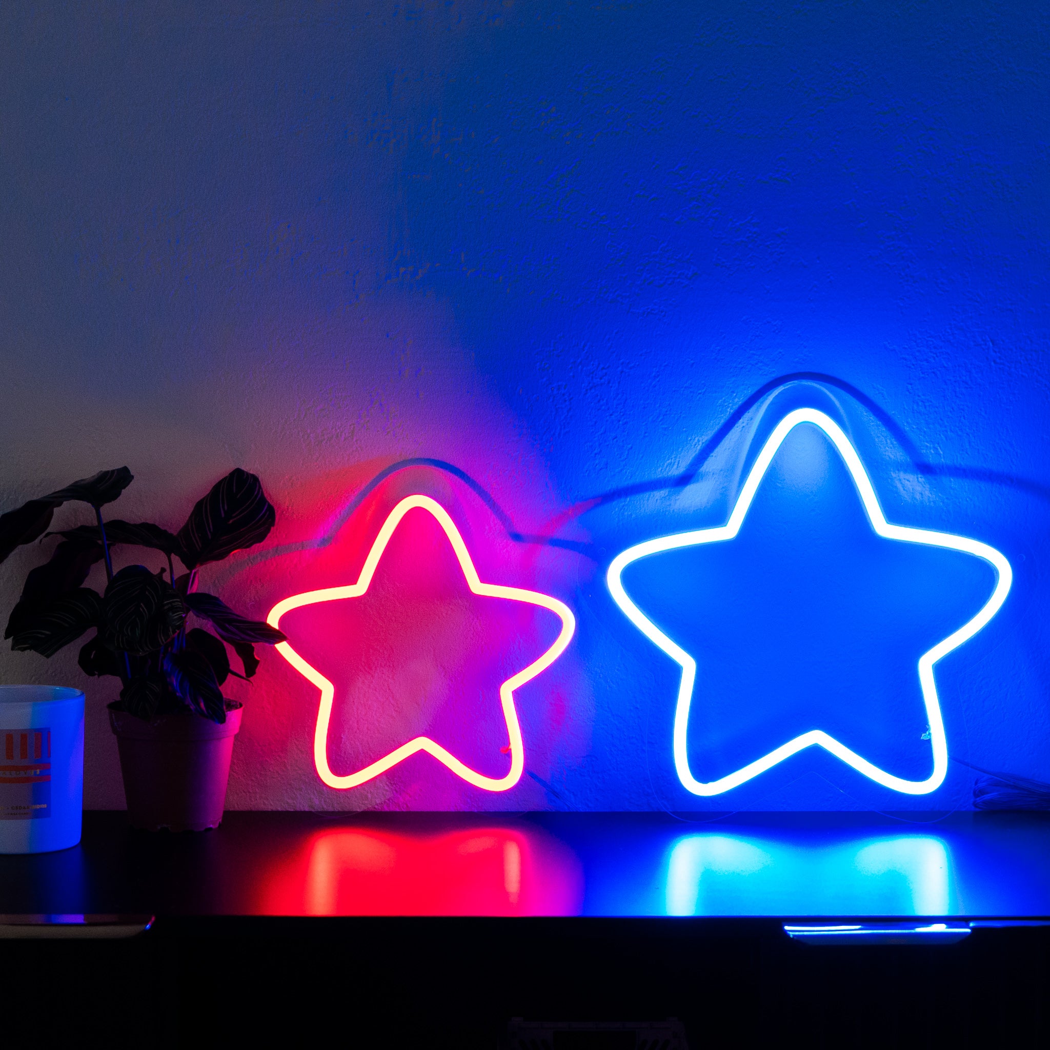 Star Neon Sign