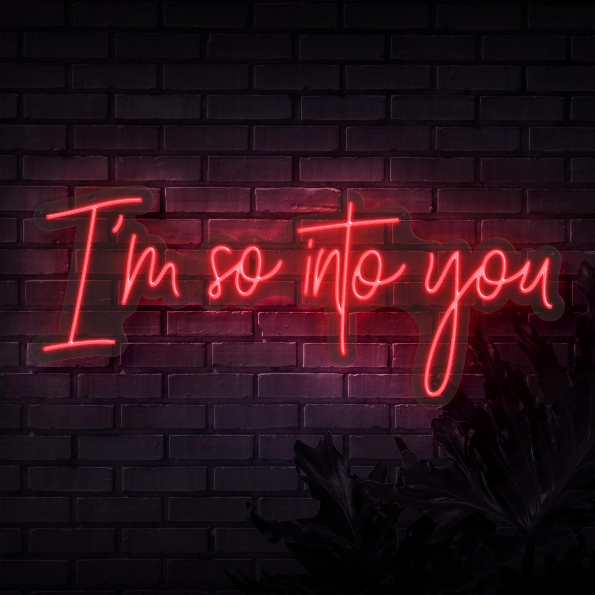 I'm So Into You Neon Sign