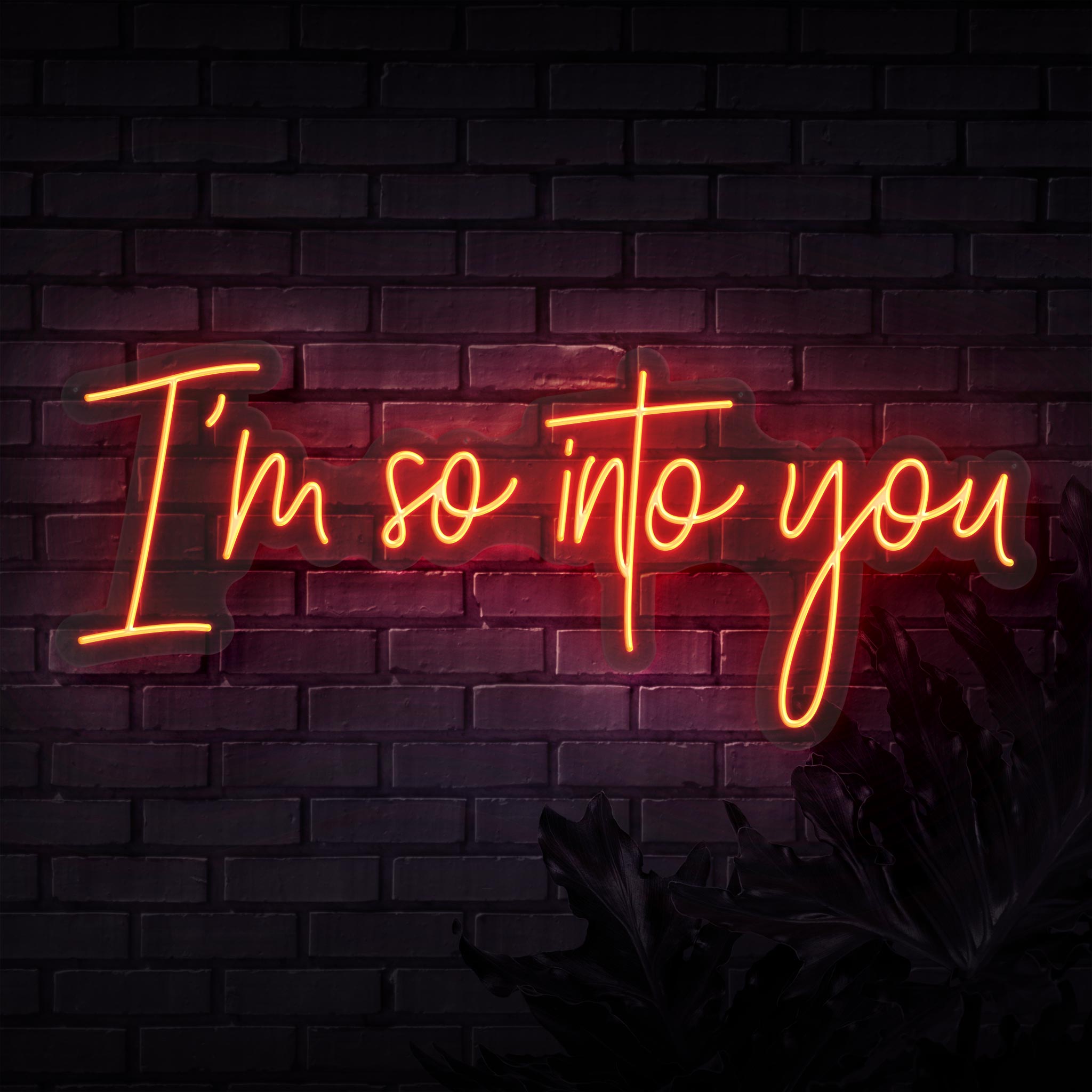 I'm So Into You Neon Sign
