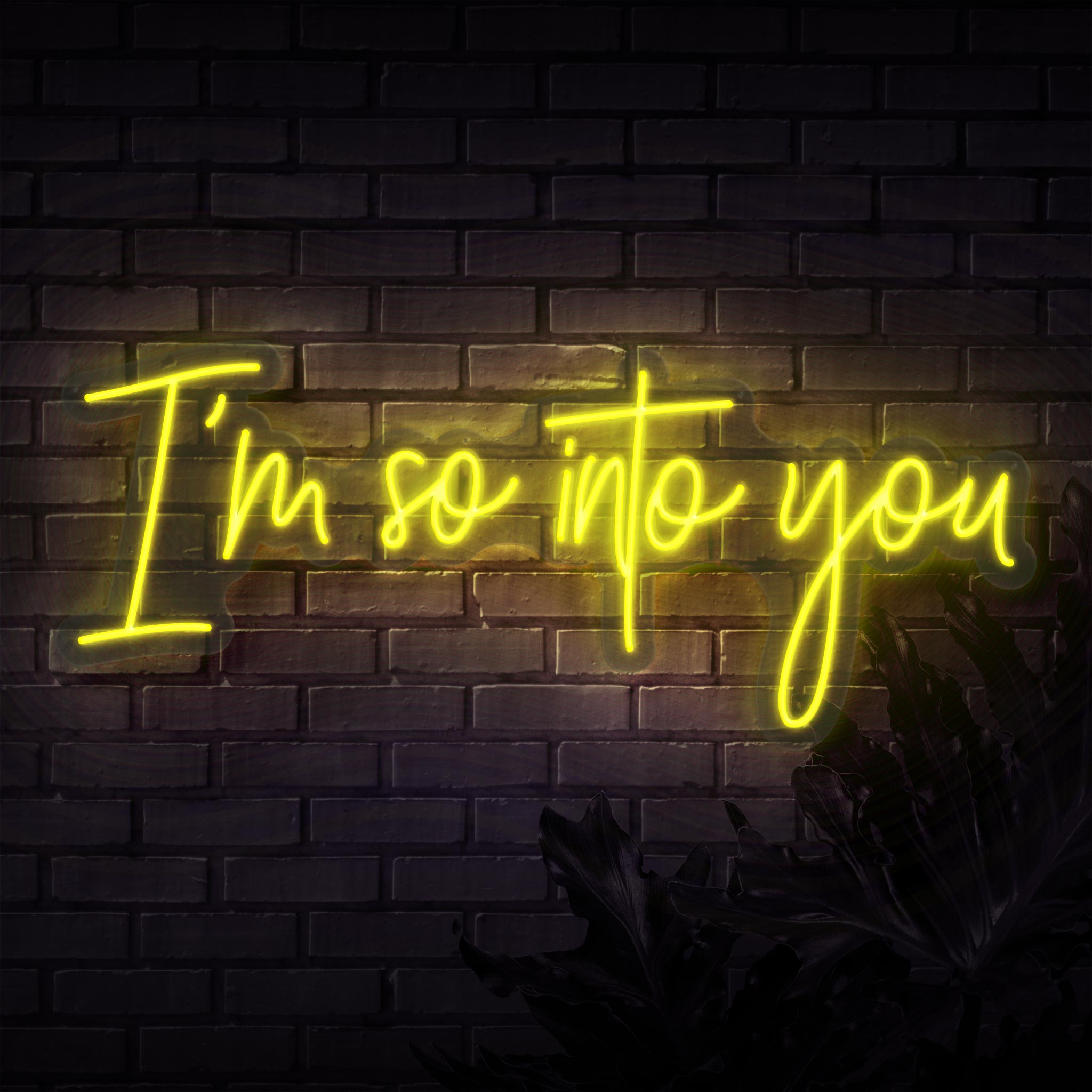 I'm So Into You Neon Sign