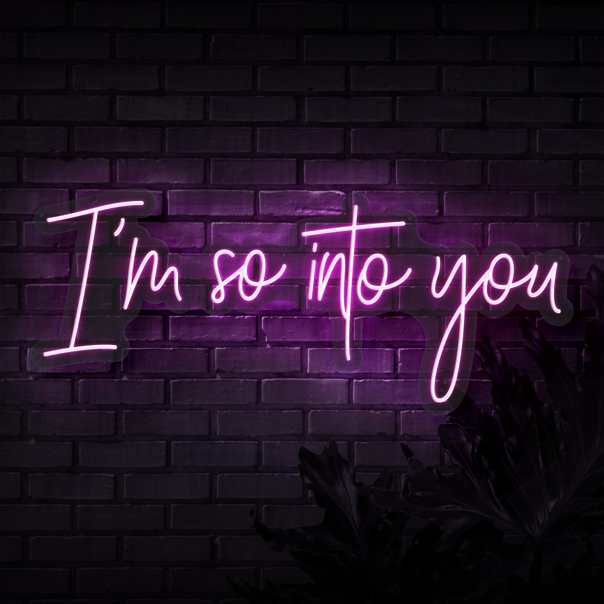 I'm So Into You Neon Sign