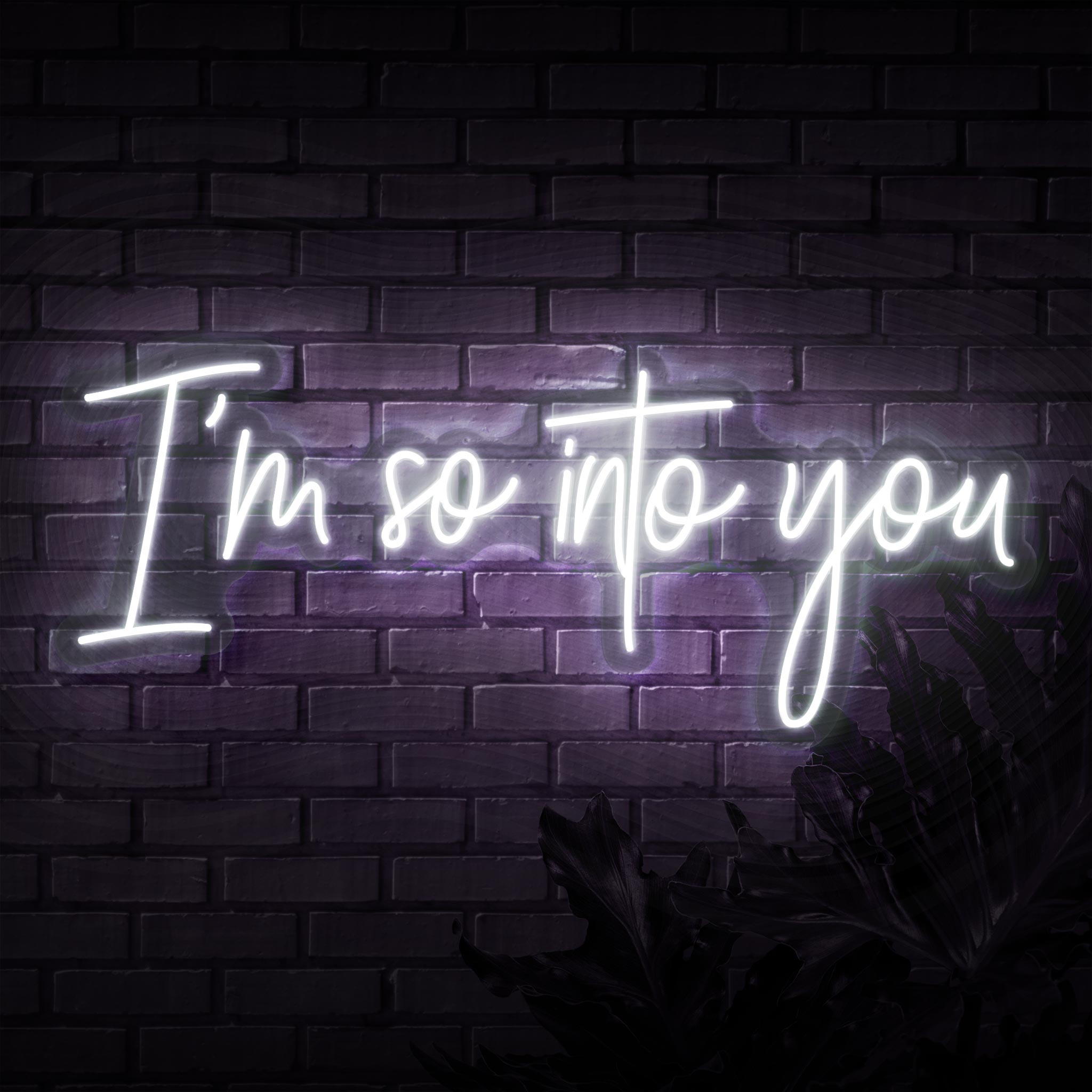 I'm So Into You Neon Sign